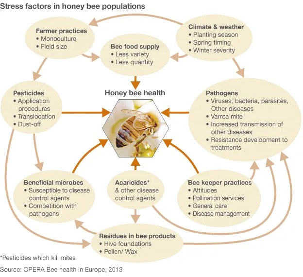 Infographic