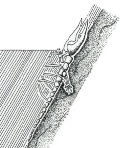 Baleen whale buried and preserved in diotomite strata