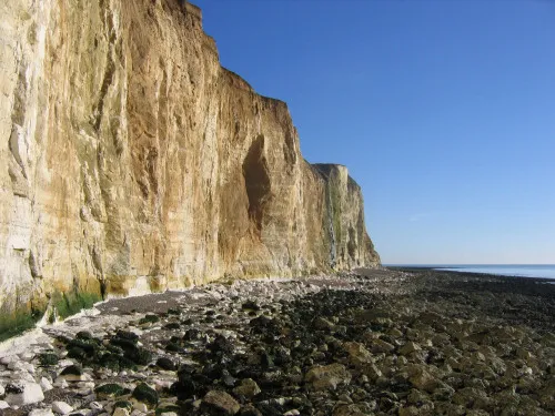 Peacehaven chalk cliffs fossil hunting location