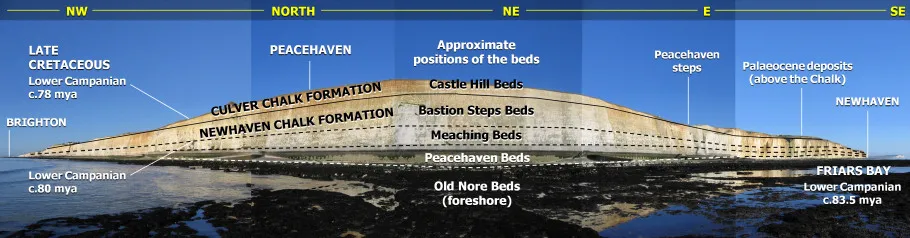 Geology panoramic diagram by Roy Shepherd