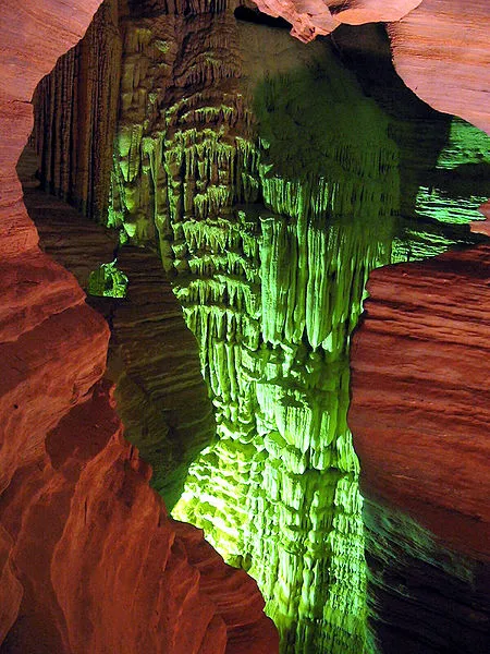 colonagruta