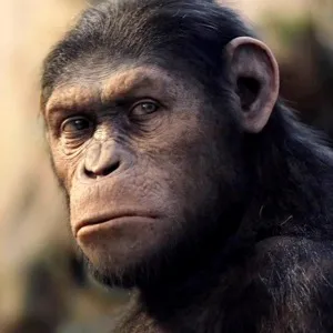http://cdn.pastemagazine.com/www/articles/2011/08/06/apes.jpg?1312650303